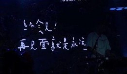 网红大秋千 爆料网每日精选最新消息 今日爆料,今日精选最新消息速览